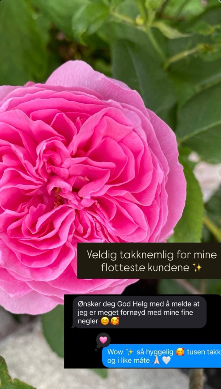 Kundetilbakemelding til SOKOLENKO 9